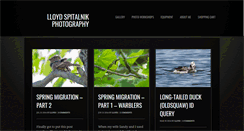 Desktop Screenshot of blog.lloydspitalnikphotos.com