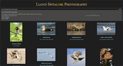 Desktop Screenshot of lloydspitalnikphotos.com